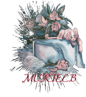 Tag matelass&eacute;e